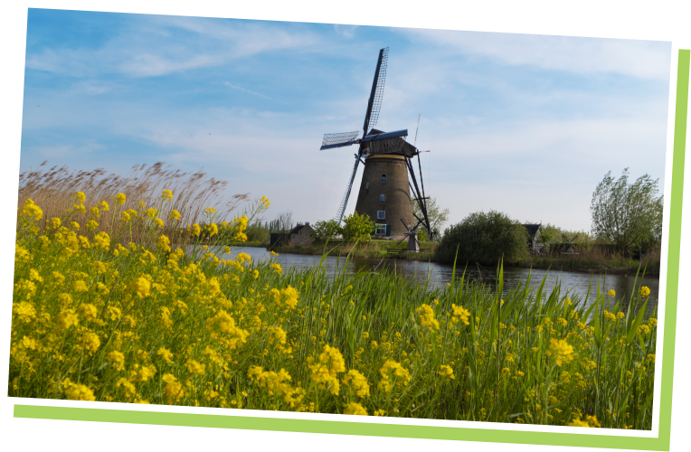 Story Photo6 windmill across river yellow flowers in foreground